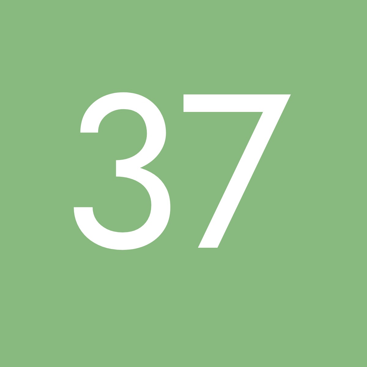 Größe 37 