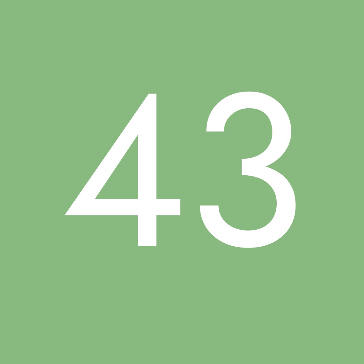 Größe 43