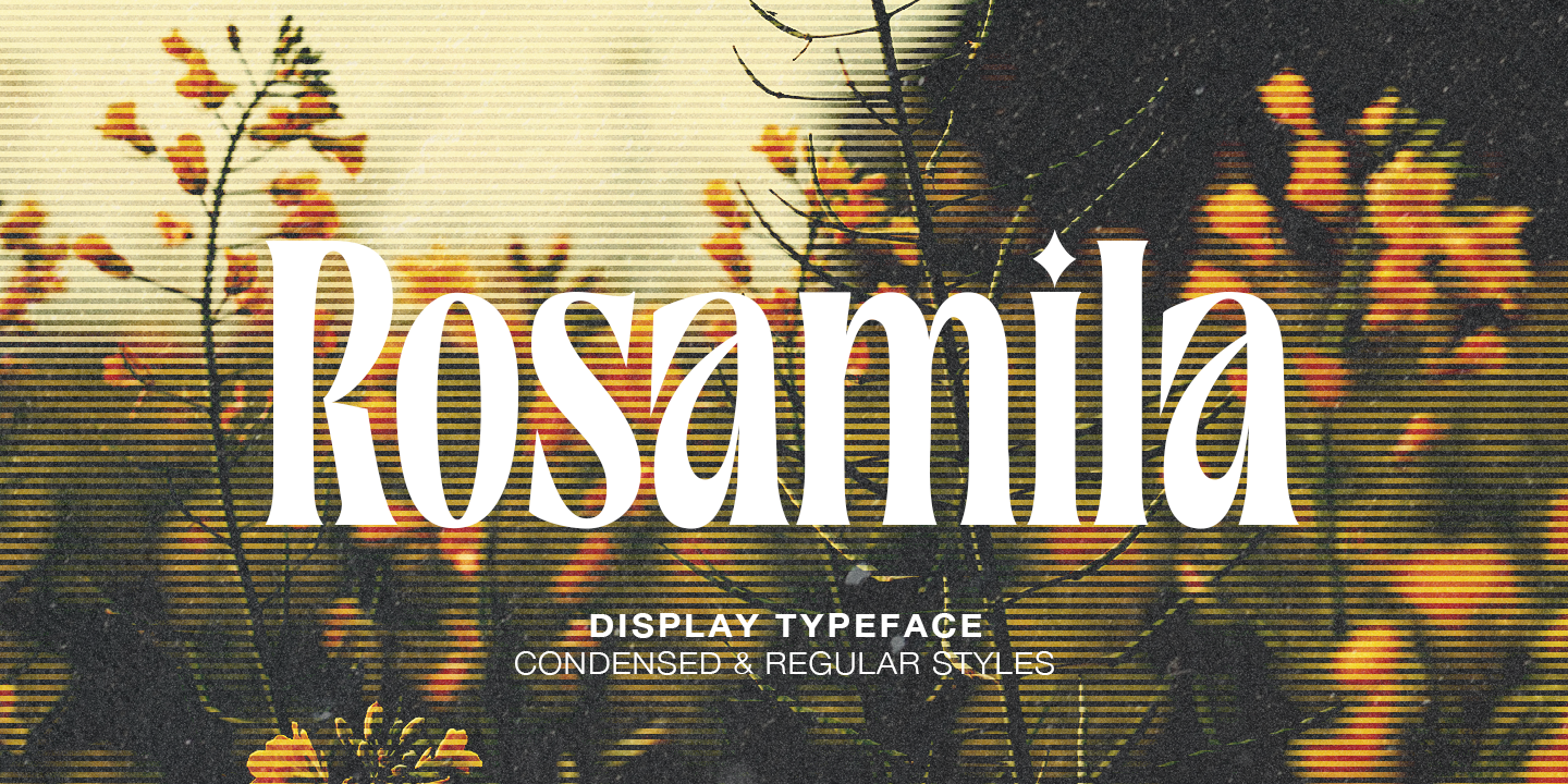 Rosamila by Stripes Studio