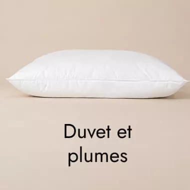 Duvet et plumes