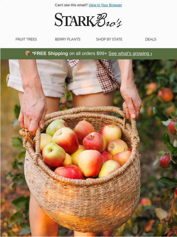 🍎 A Fruit Tree Pays for Itself - Here's How