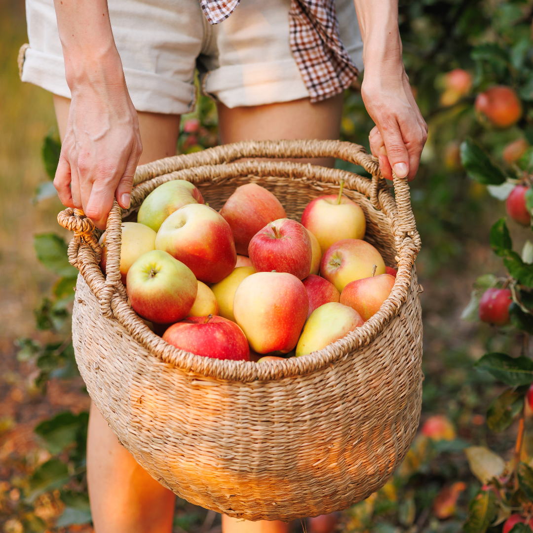 Shop Homegrown