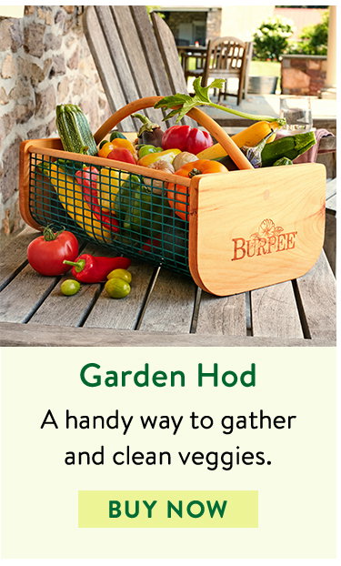 Burpee's Garden Hod
