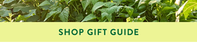 Gifts for Dad