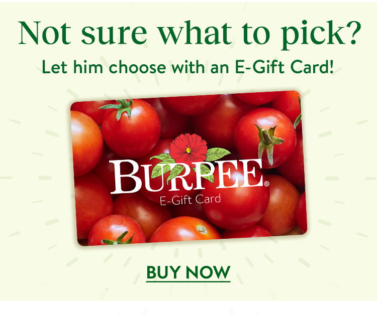 Burpee E-Gift Card