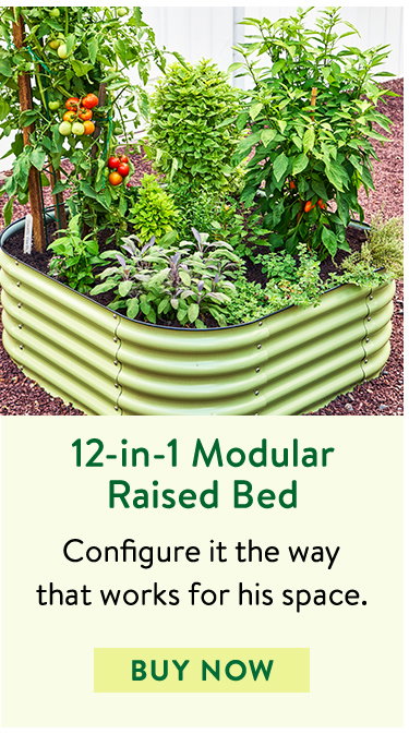 12-in-1 Modular Raised Bed