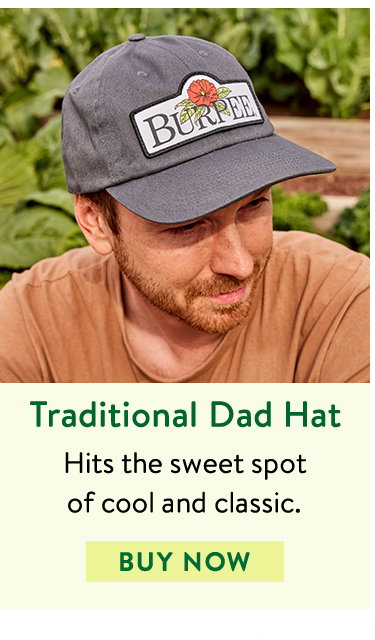 Traditional Dad Hat - Charcoal