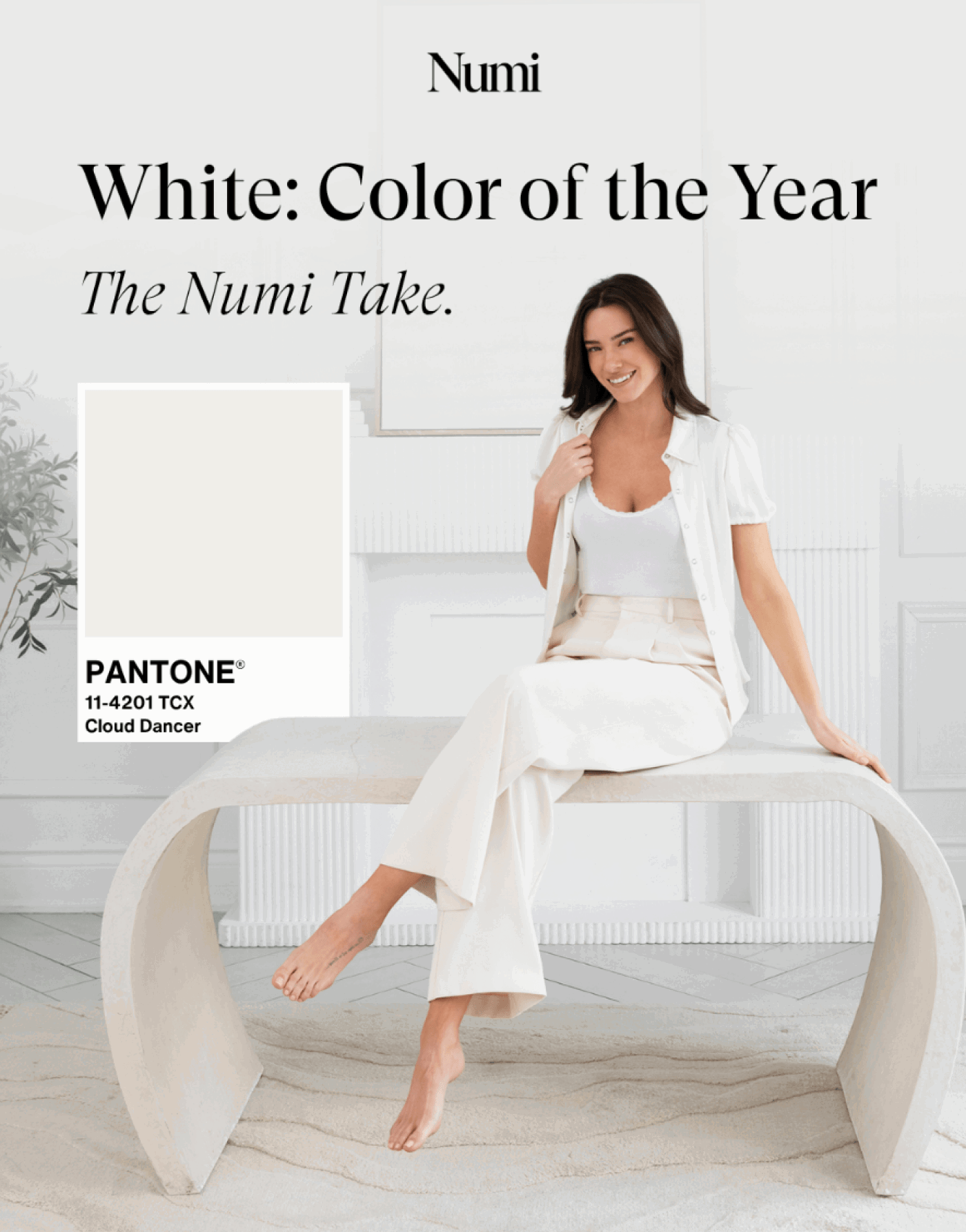 White: Color Of The Year