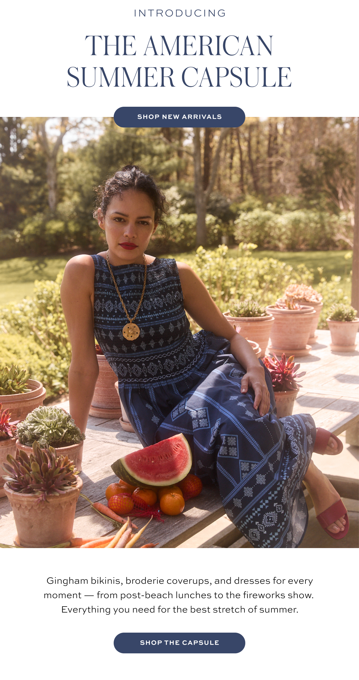 Introducing: The American Summer Capsule