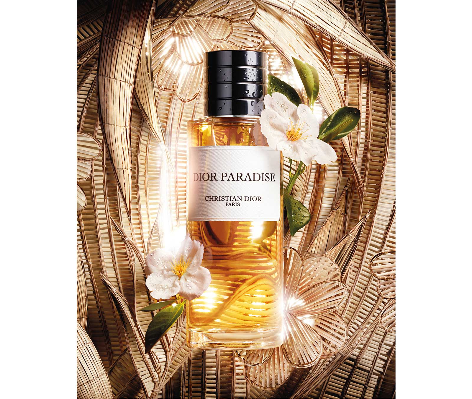 Dior Paradise