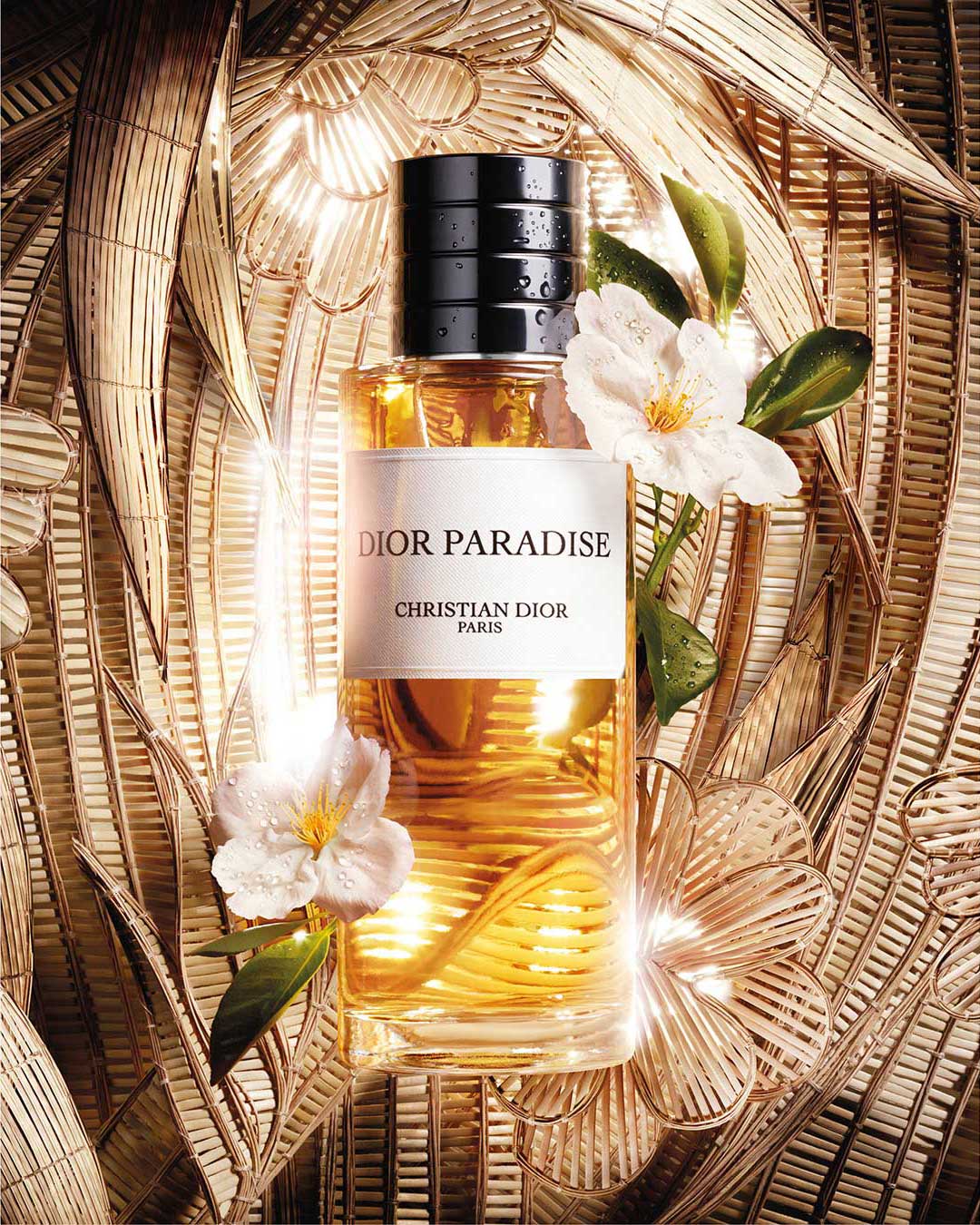 Dior Paradise