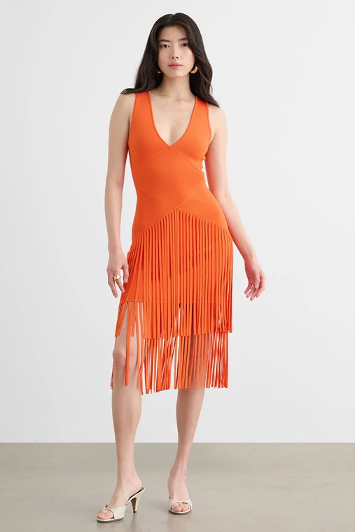 Patricia V-Neck Seamed Midi Dress With Fringe