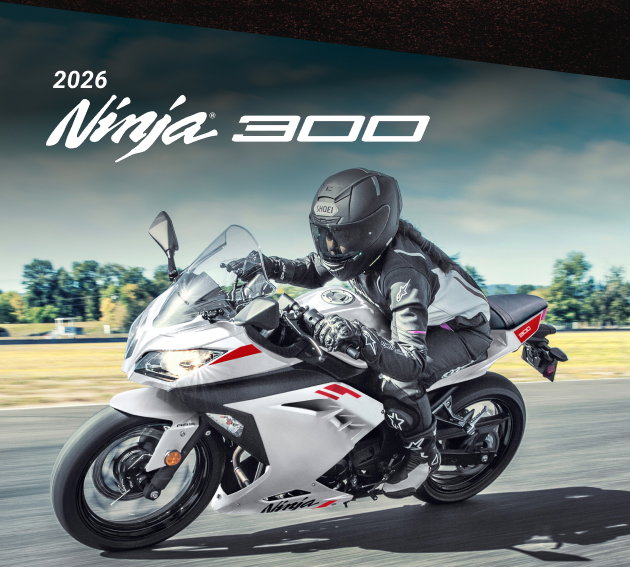 2026 Ninja 300