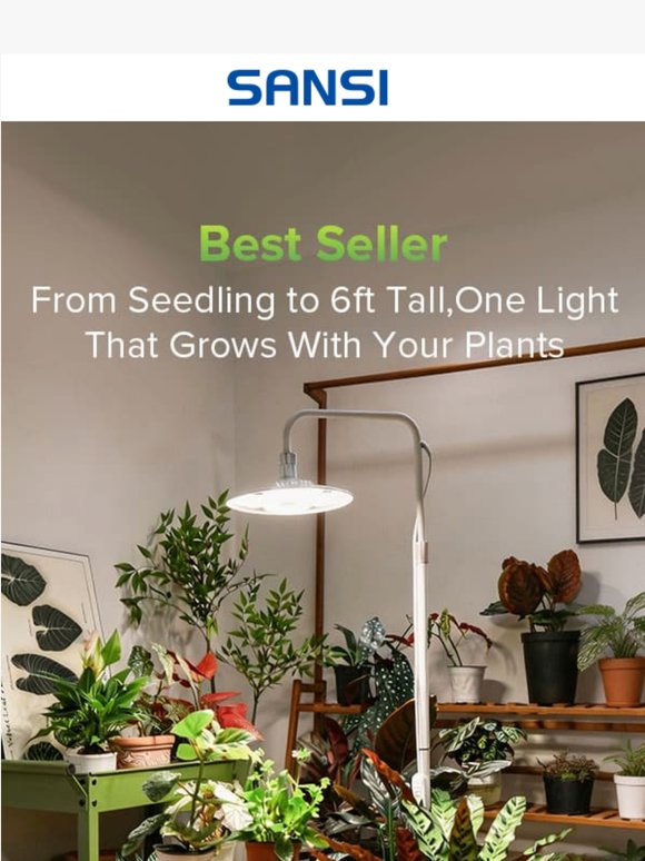 👍From Seedling to 6ft Tall – One Light That Grows With Your Plants！