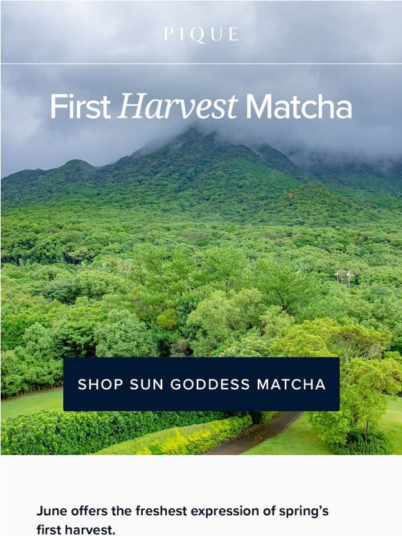 The Year’s Freshest Matcha