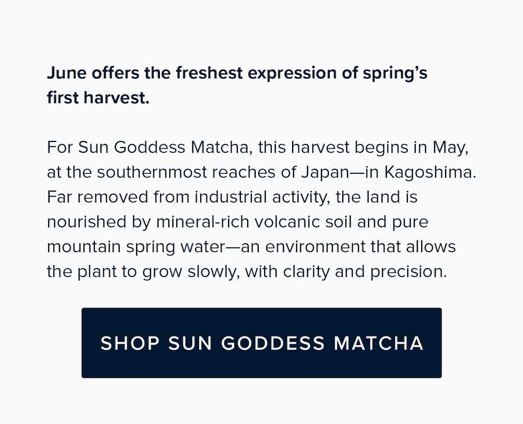 Sun Goddess Matcha