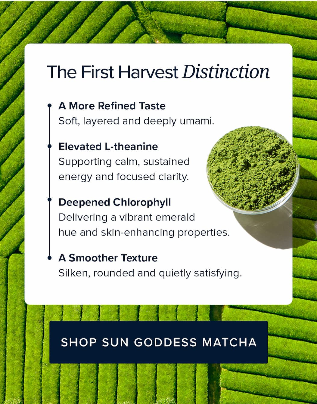 Sun Goddess Matcha