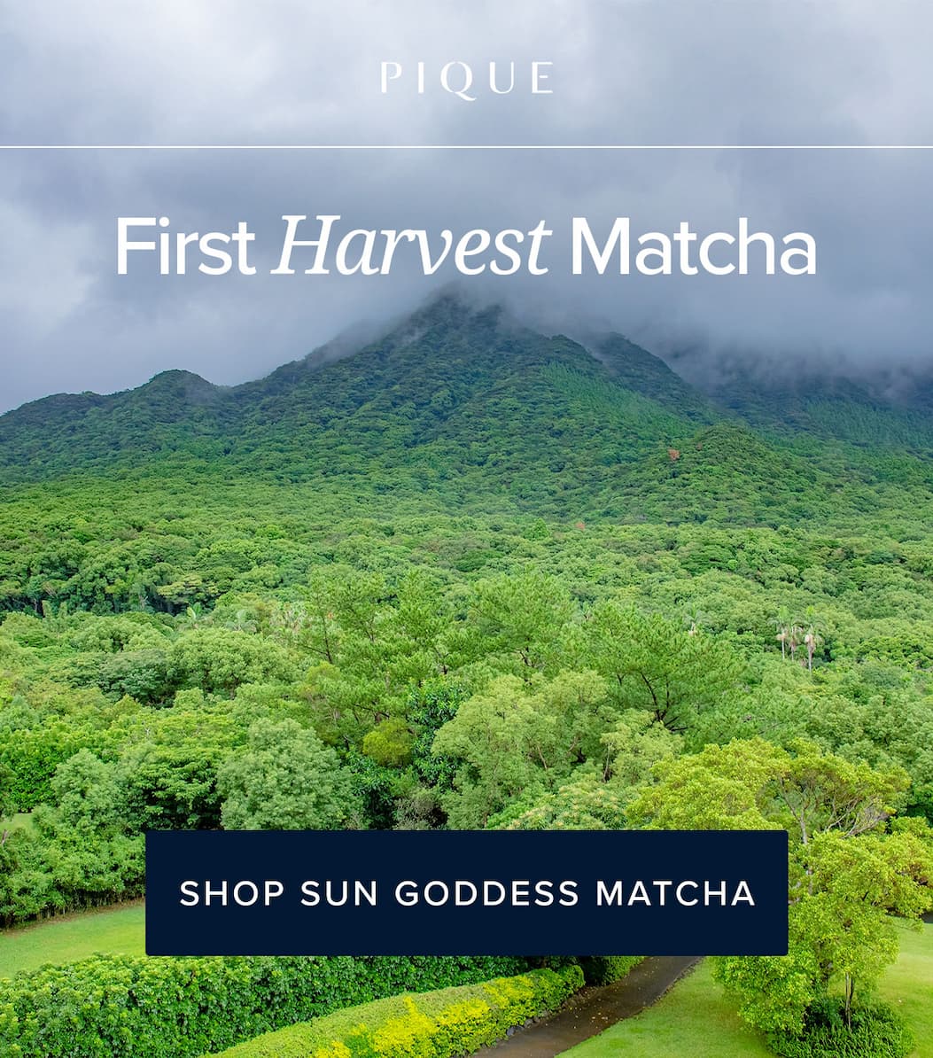 Sun Goddess Matcha