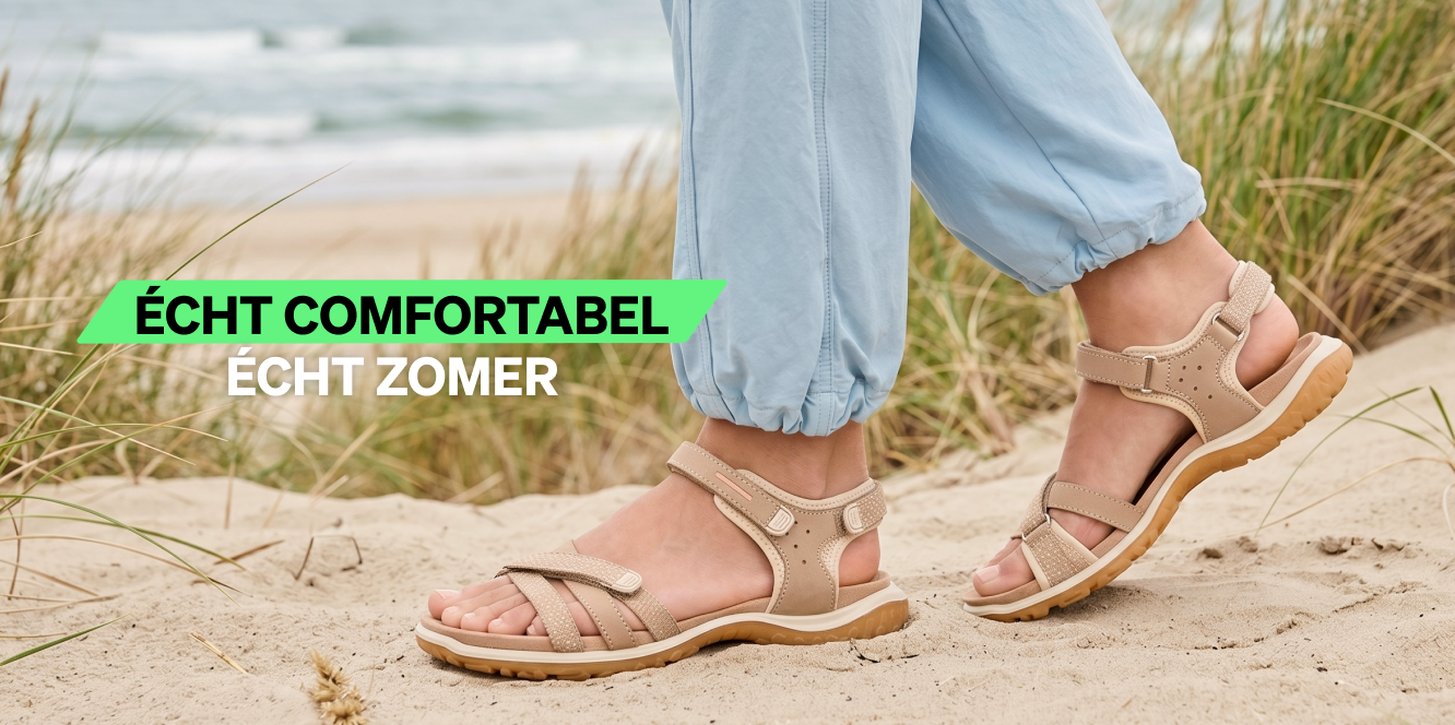Header - sneakers