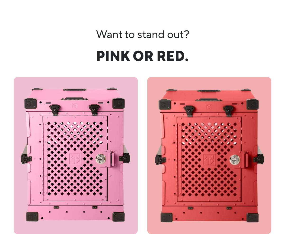 Want to stand out? Pink or Red.