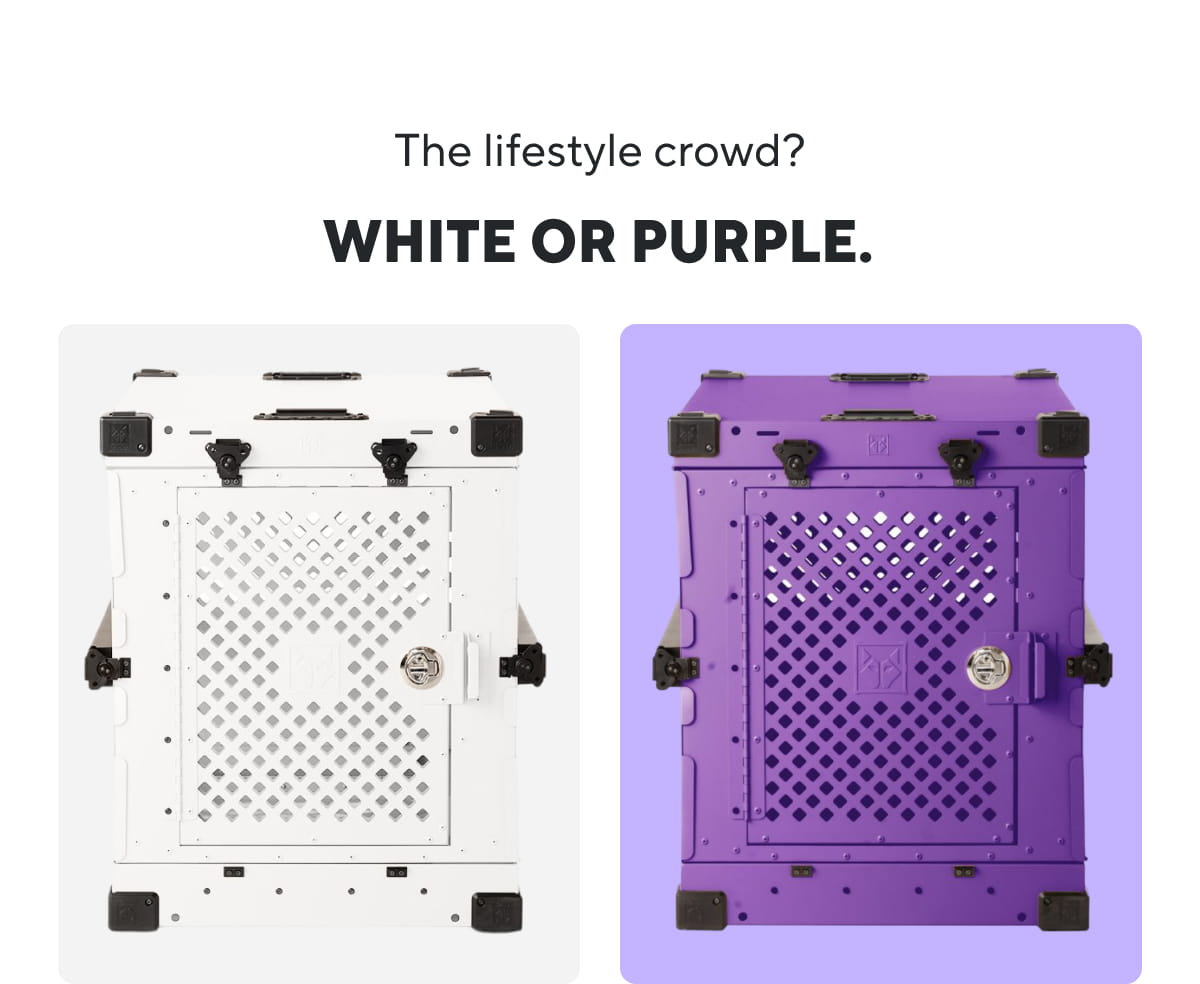 The lifestyle crowd? White or Purple.
