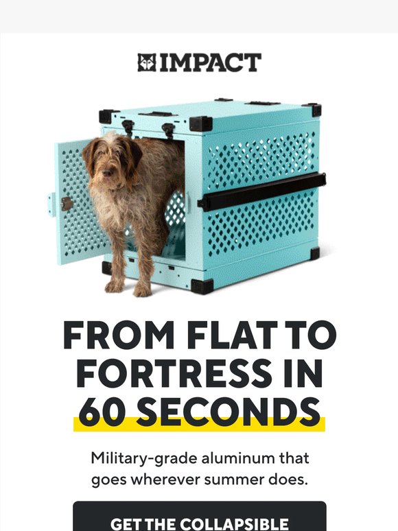 Pack it flat. Pop it up. Go. 🐾