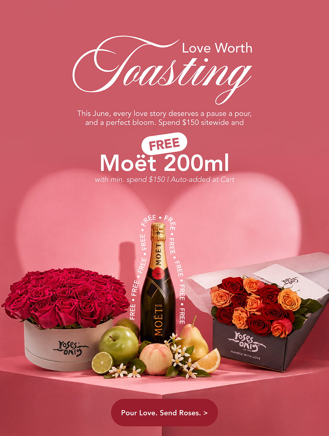 Roses Only Singapore | Loving Day Collection