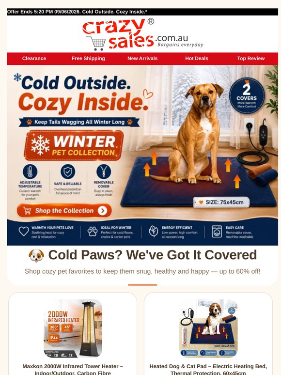 🐕 Cold Outside. Cozy Inside.