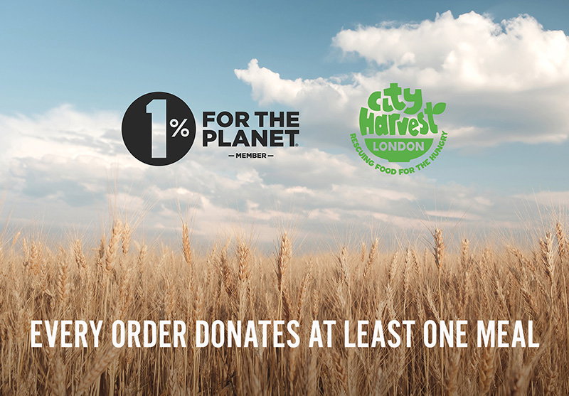 Black and blum sustainability banner with 1% for the planet on a forest background