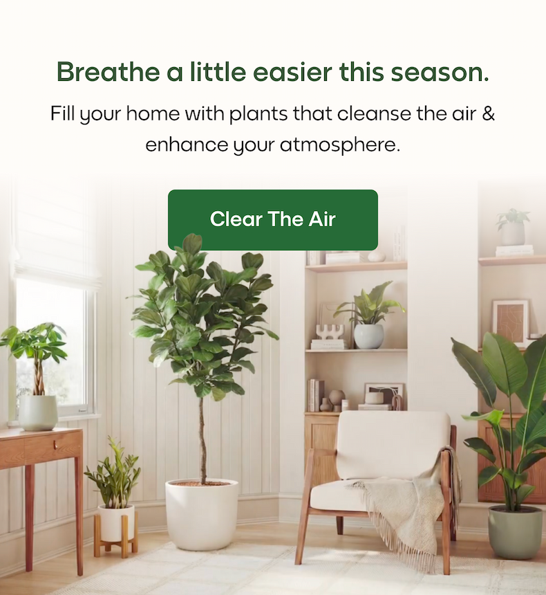 Breathe a little easier this season.