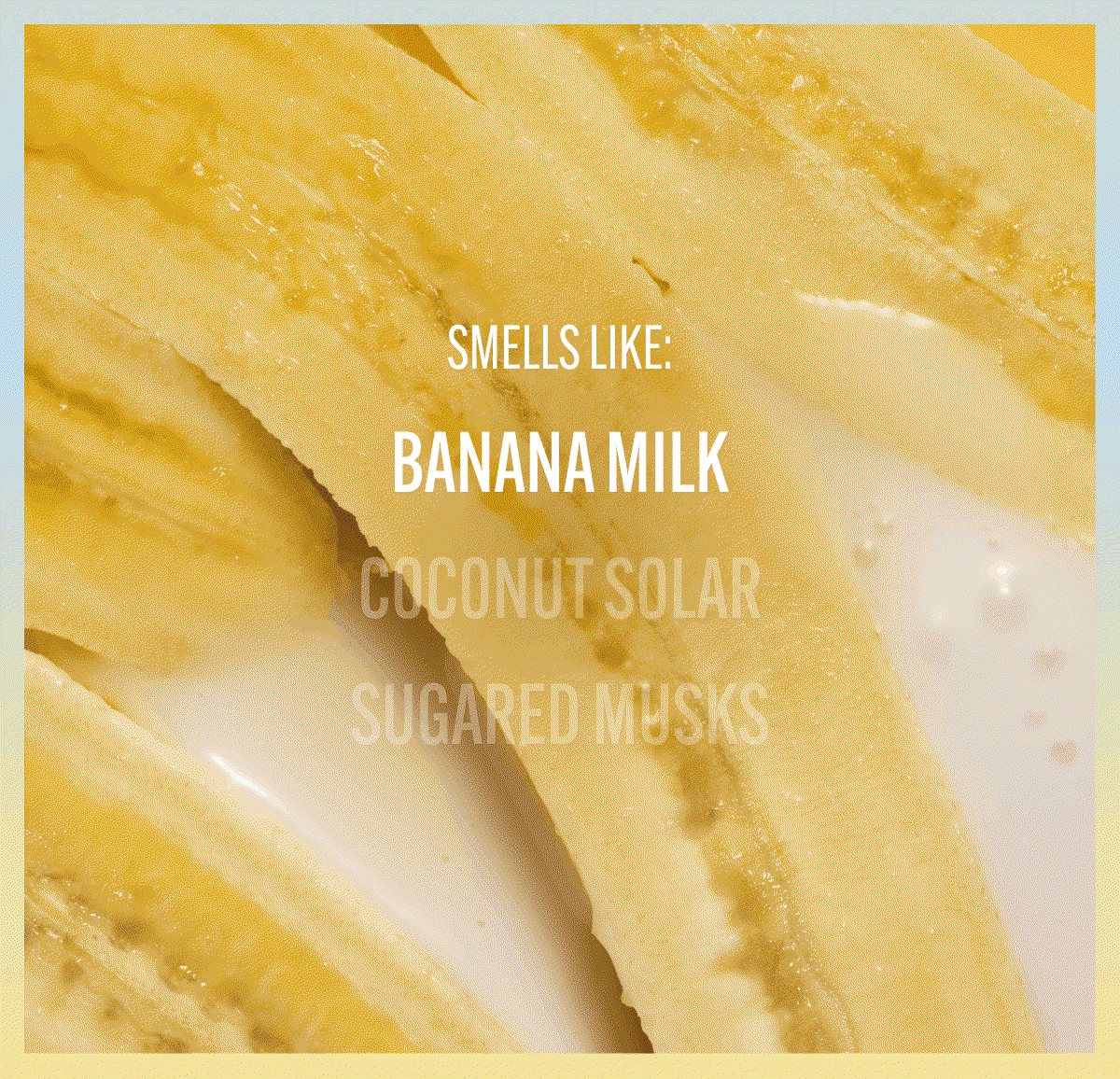 SMELLS LIKE:  BANANA MILK, COCONUT SOLAR, SUGARED MUSKS