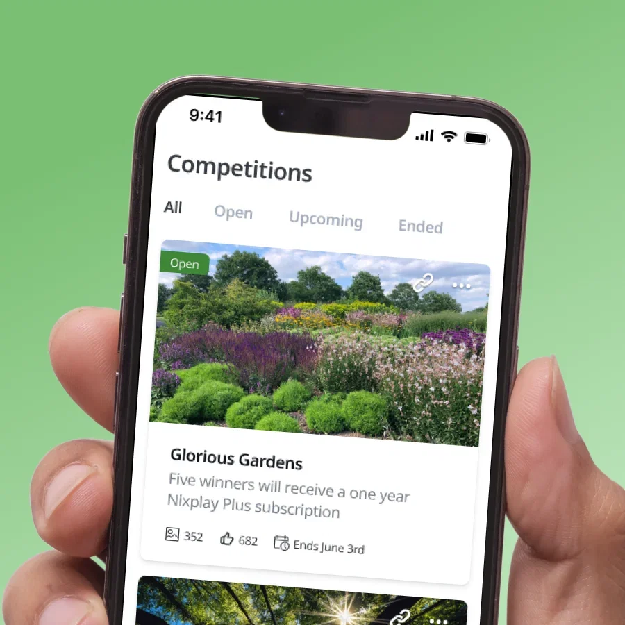 Photo competition: Glorious Gardens