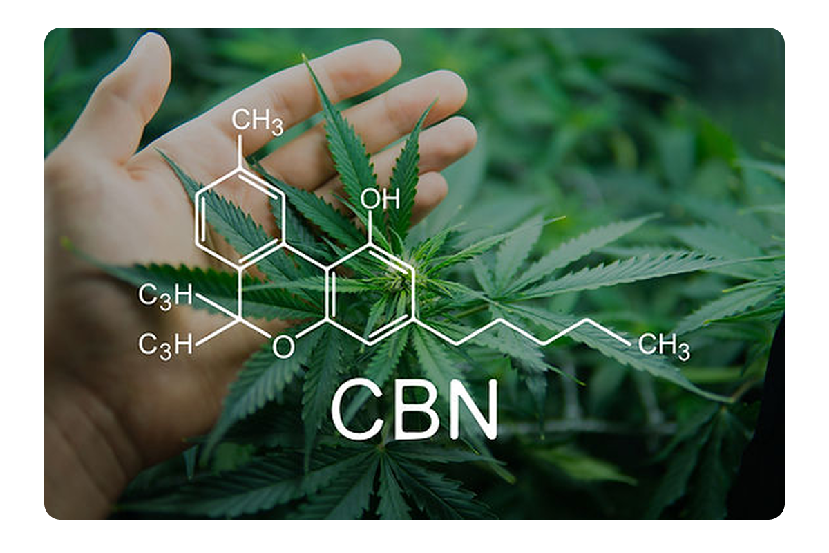 Happy Bears CBN Capsules