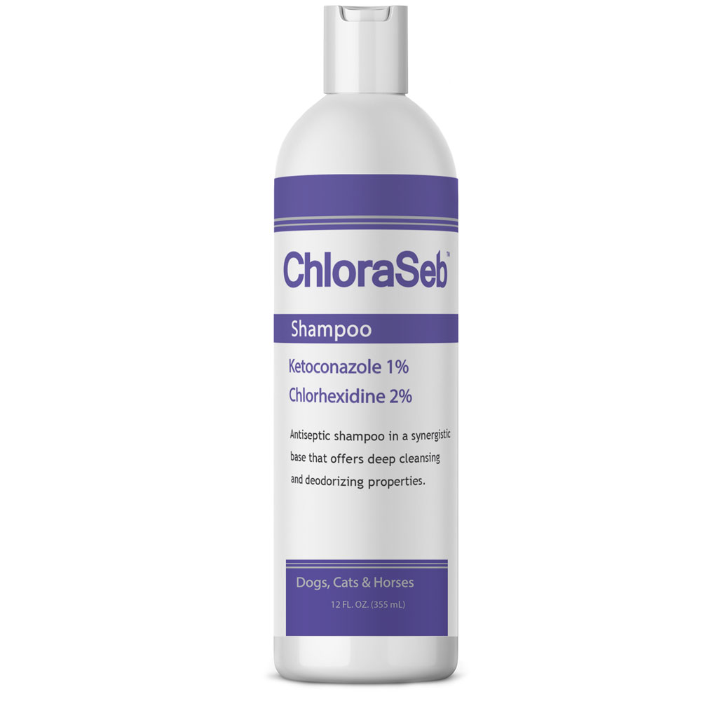 Image of ChloraSeb Antiseptic Shampoo (12 fl oz)