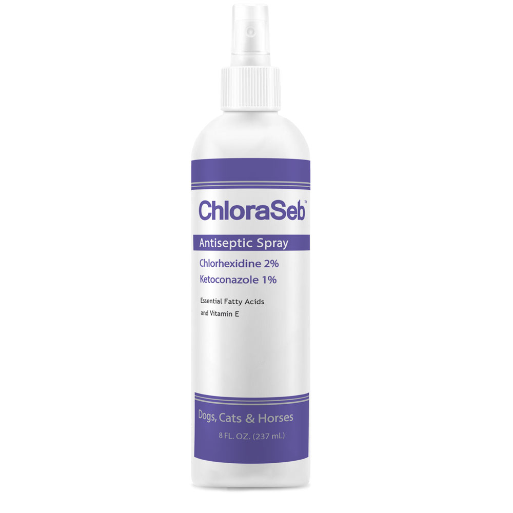 Image of ChloraSeb Antiseptic Spray (8 fl oz)