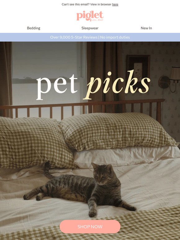 5* PET PICKS 🐕🩷