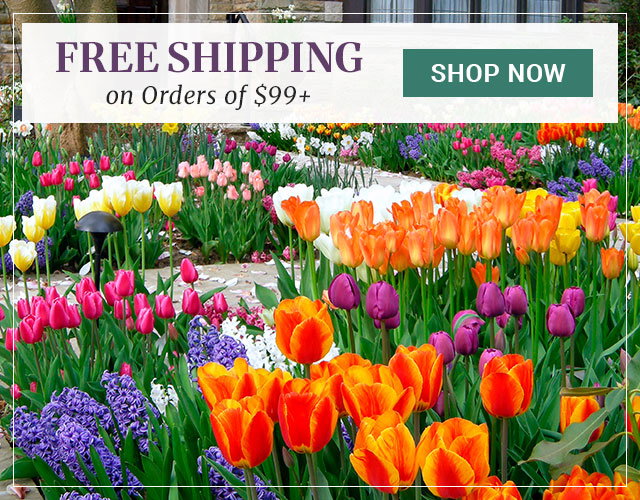 End-of-Season Sale