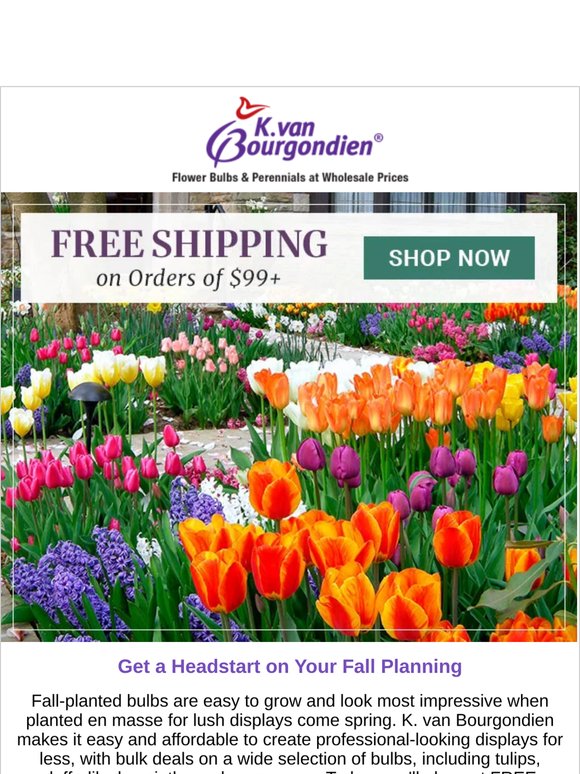 How to look like a pro for less (+ a bonus offer)