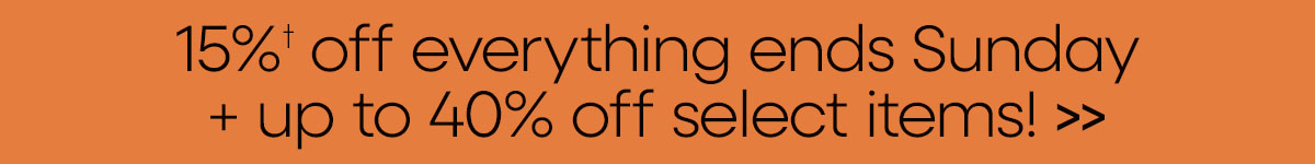 15% off Everything going on now!