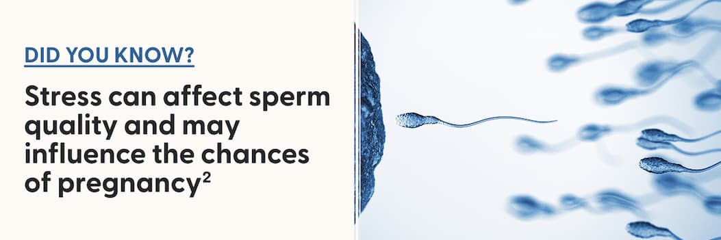 Did you know? Stress can affect sperm quality and may influence the chances of pregnancy2
