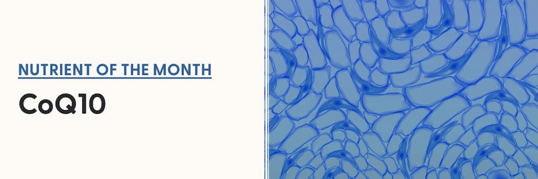 Nutrient of the Month: CoQ10