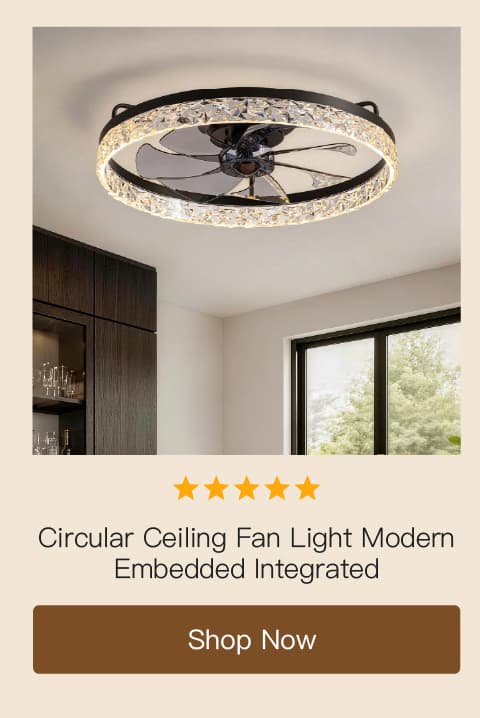 Circular Ceiling Fan Light Modern And Simple Creative Embedded Integrated