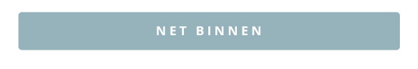Net binnen