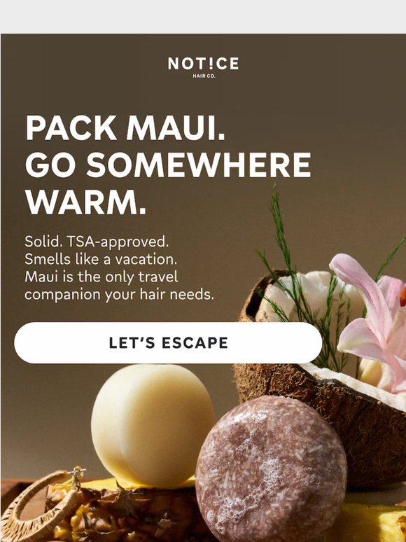 Maui Wants to Come With You ✈️