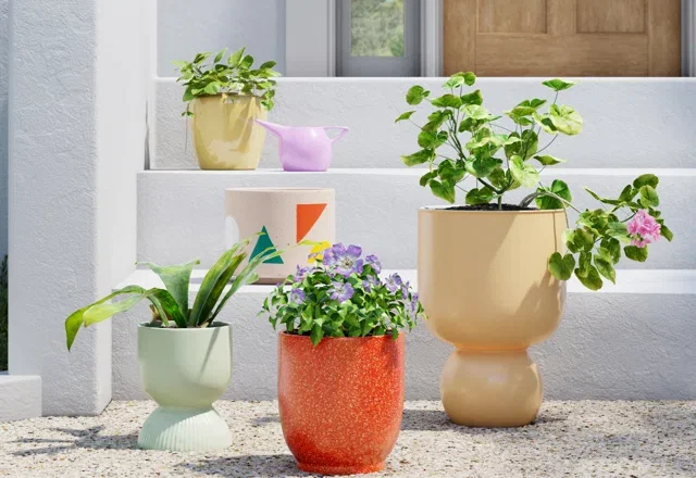 Pot Planters