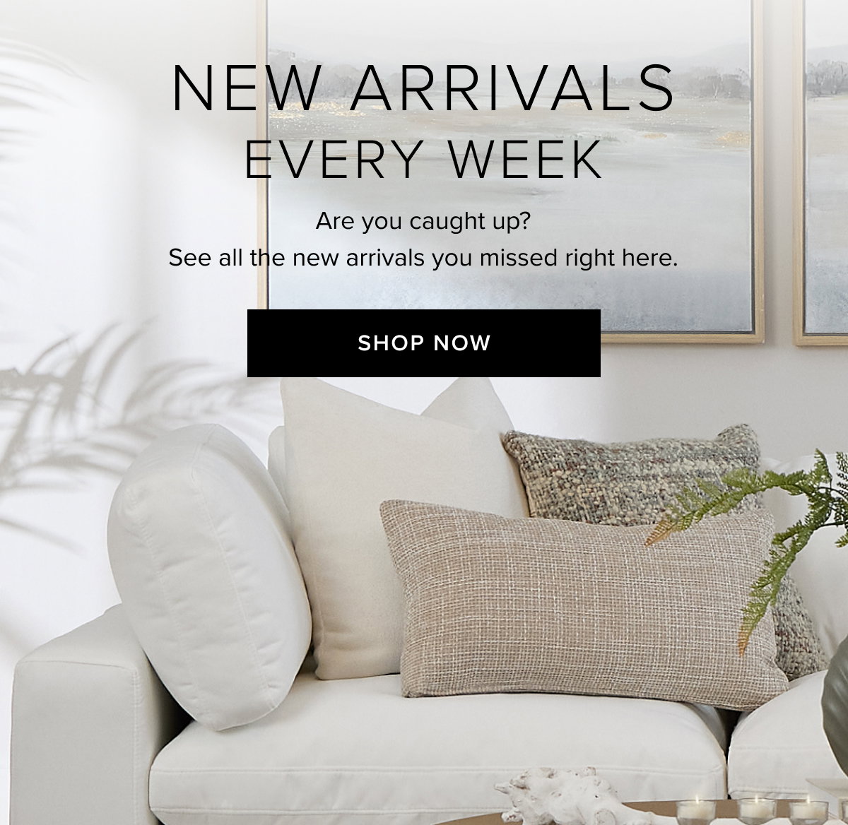 Shop The New Arrivals Every Week.