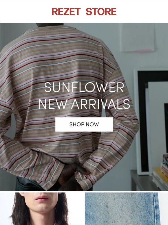 New arrivals from SUNFLOWER