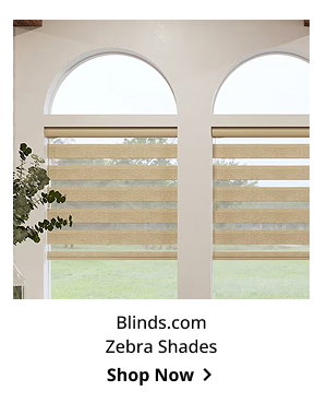 Blinds.com Zebra Shades | Shop Now >