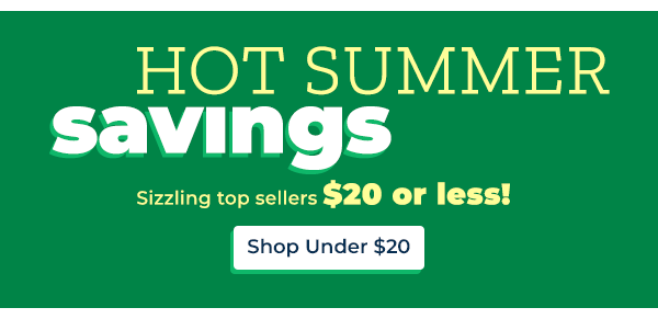 Sizzling top sellers $20 or less!