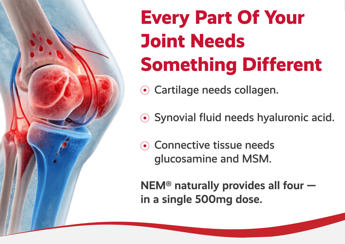 Every part of your joint needs something different | NEM® naturally provides all four — in a single 500mg dose.